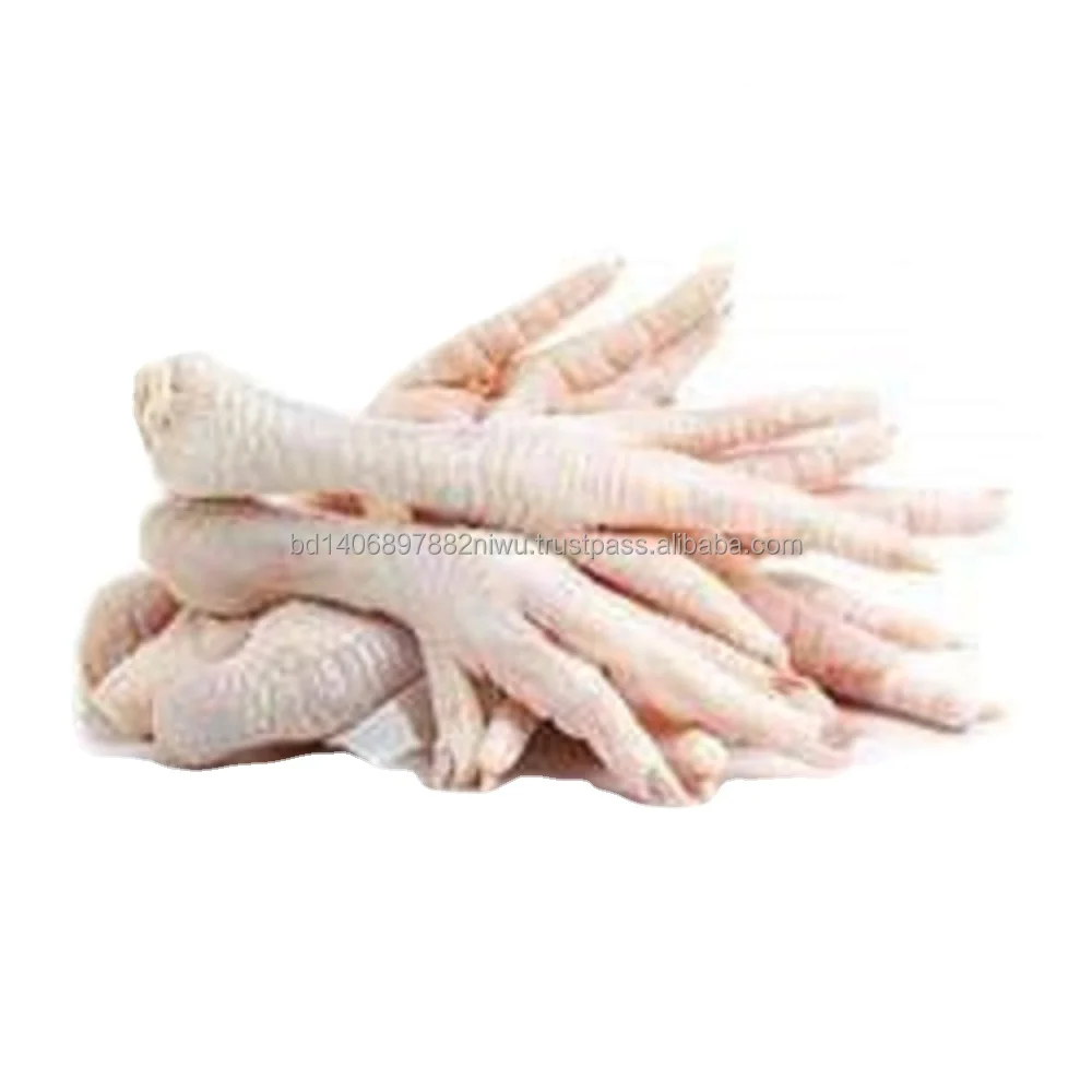 Frozen Premium Quality Chicken Feet Paws Supplier High Quality Chicken Feet Paws Bulk Supply from Bangladesh