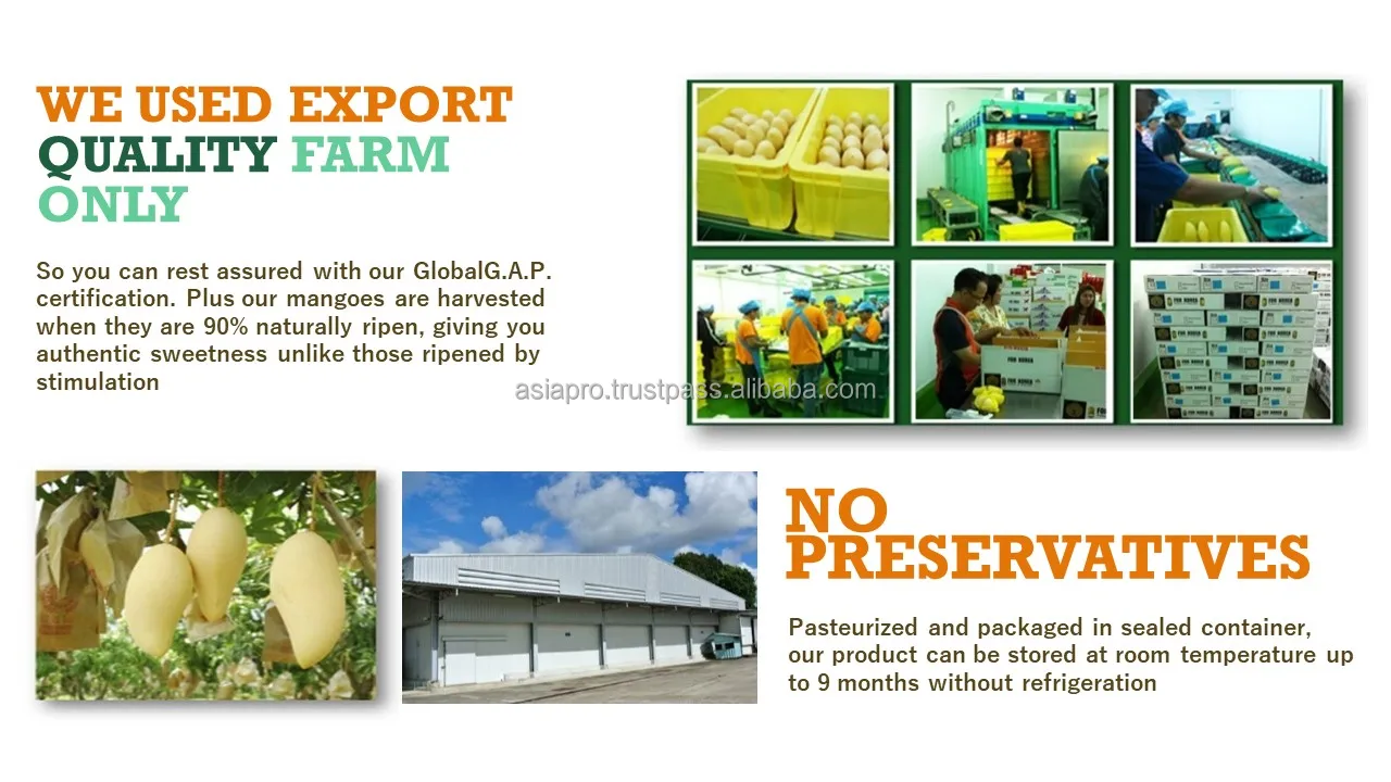 Ready Smoothies3.JPG