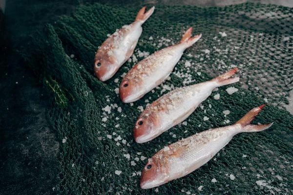 Замороженные резьбовые плавники замороженные рыбы-полностью очищены сделано во Вьетнаме
