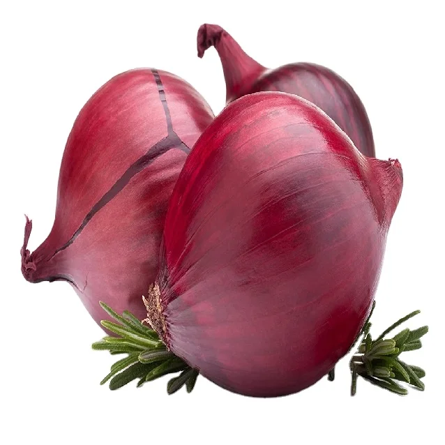 Best Selling And High Quality Wonderful Delicious Fresh Vegetable Red Onion at Wholesale Prices for Worldwide Export From India