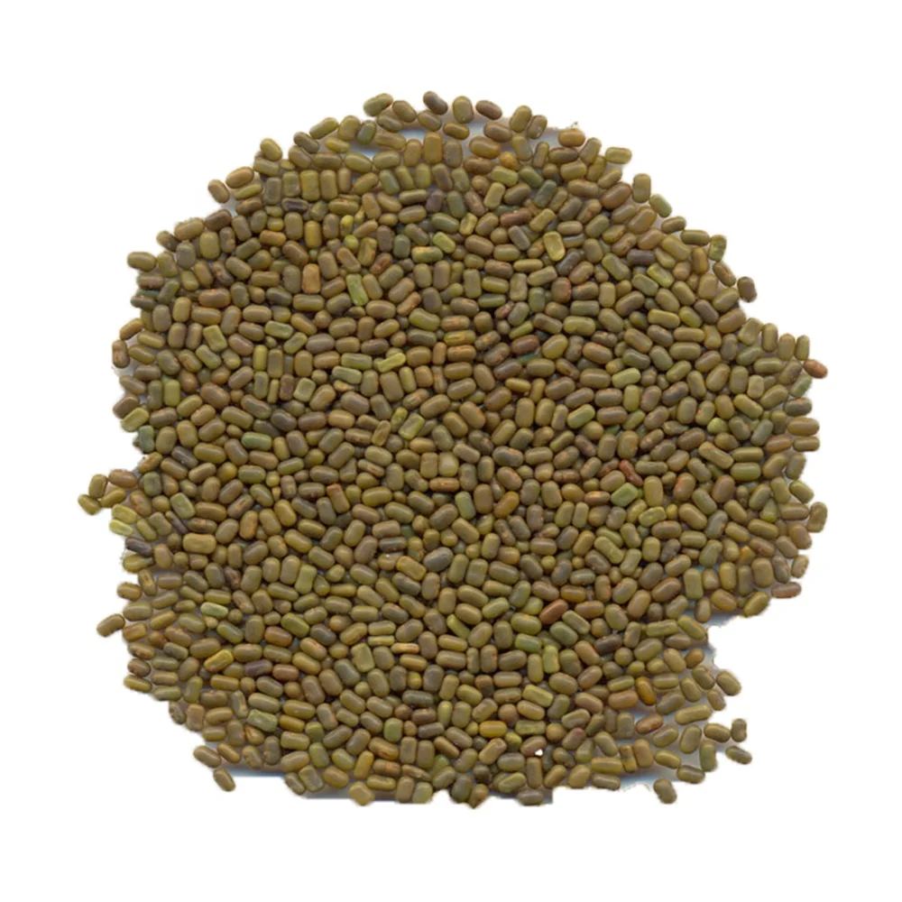 
Sesbania Seeds 
