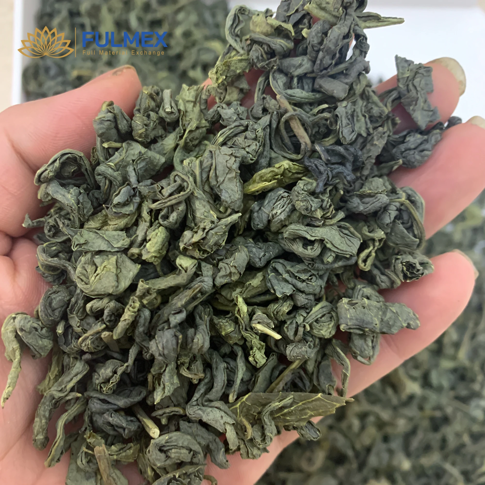 Vietnam Te Verde premium green tea packing small and bulk nice taste for tea lovers with factory price