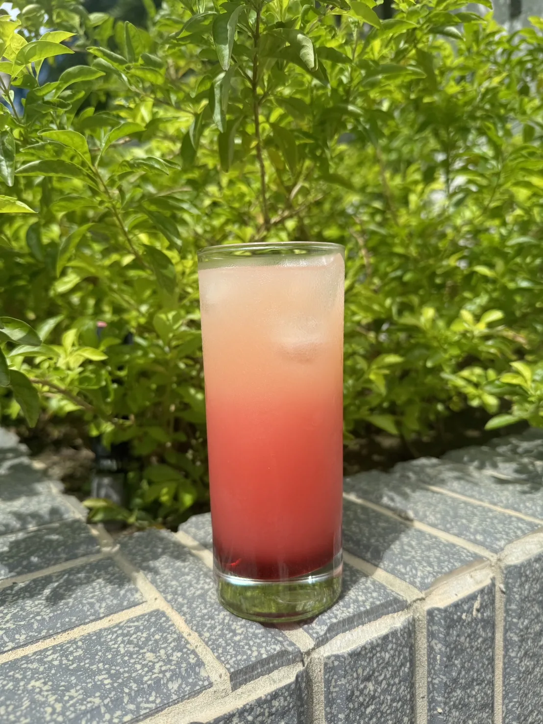 OEM Bubble tea Ingredient 2.5 KG Dragon Fruit Syrup