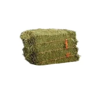 2024 Alfalfa Hay / Timothy Alfafa Hay / Rhode Hay Bulk Top Grade Alfalfa for Animal Feed for sale