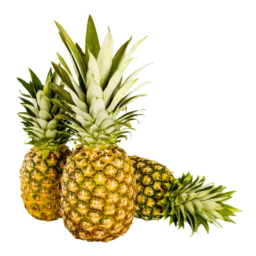 Fresh Pineapple 2022 Wholesale Fresh Best Price High Quality Fresh Pineapples resh MD2 Pineapple From Vietnam