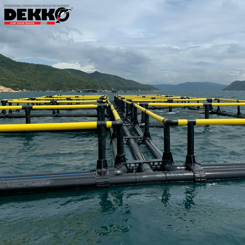 DEKKO Cheap price Tilapia hdpe floating aquaculture cage fish farming cage Double tube square fish cage for Tilapia Fish Farming