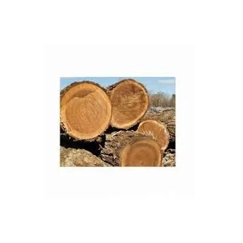 Spruce Wood Round Logs At Wholesale Price 100% Pure Timber Logs Teak Wood / Oak Wood Logs / Pine Wood Logs