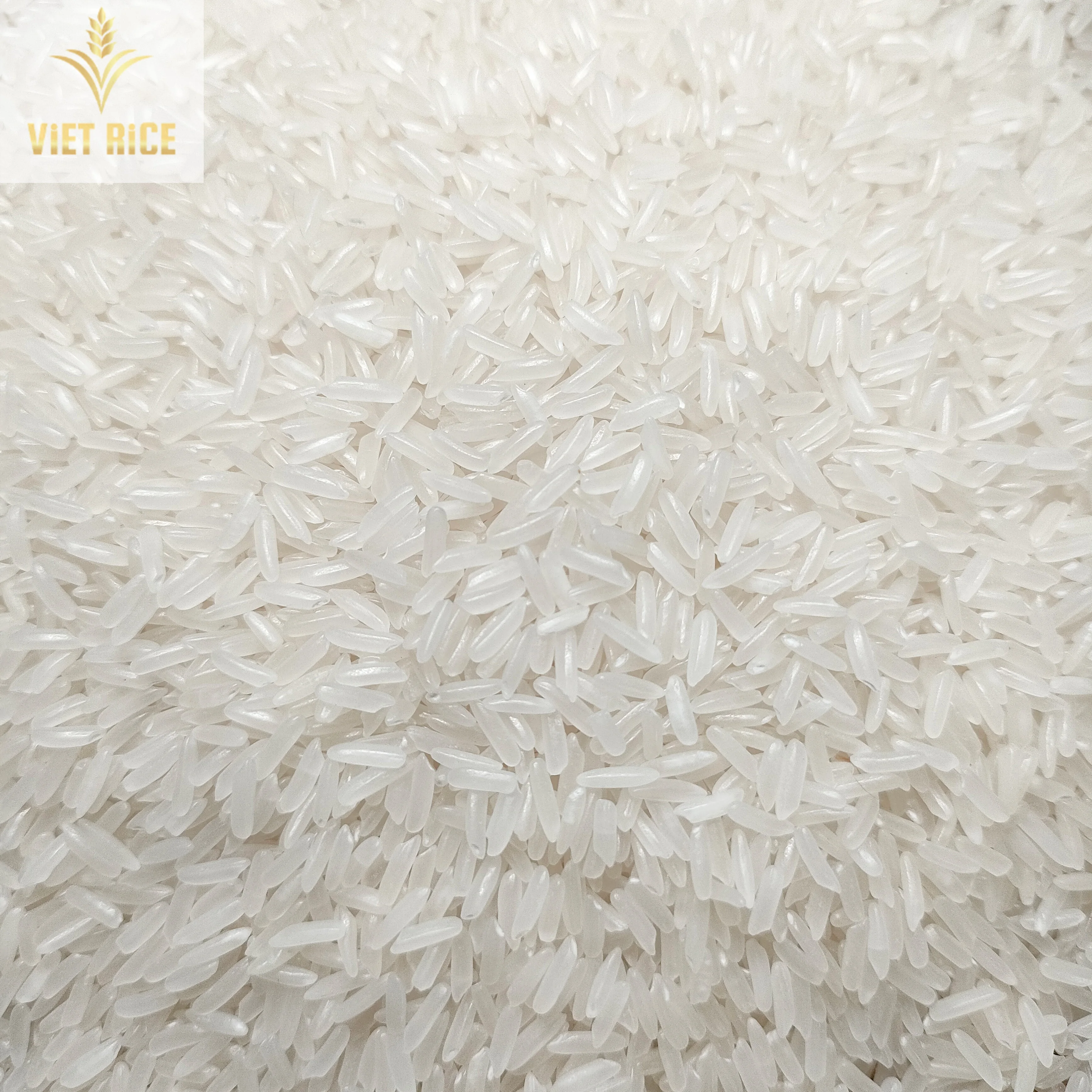 Excellent fragrant long-grain white rice (JASMINE RIZ 5% broken) from a well-known rice farmer and exporter in Vietnam(VIETRICE)