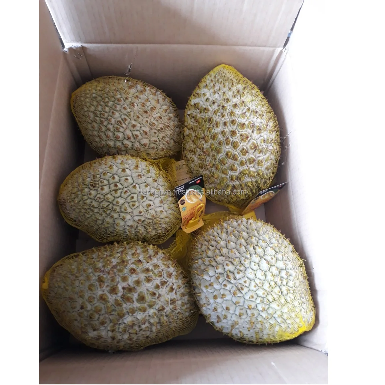 Natural Sweet 24 months Shelf Life 100% Durian Vietnam Common High Quality Food Premium Monthong Durian Whole