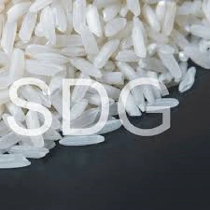 Raw Rice IR 64 White Rice 5% Broken 100% Sortexed Rice