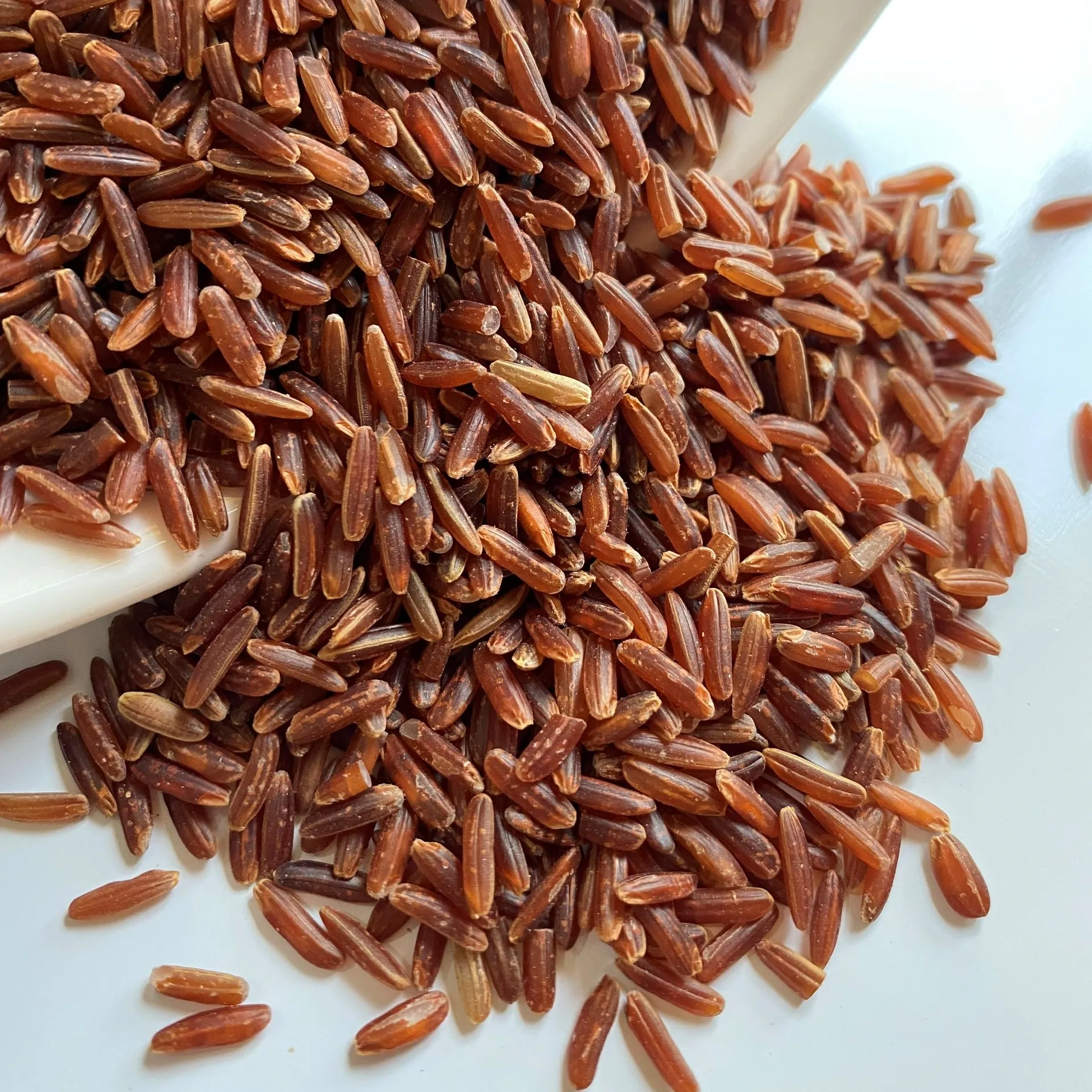 BENEFICIO PARA SU NEGOCIO - ARROZ ROJO ARROZ SALUDABLE 5% QUEBRADO - LA MEJOR CALIDAD PARA EL MERCADO DE LA UE