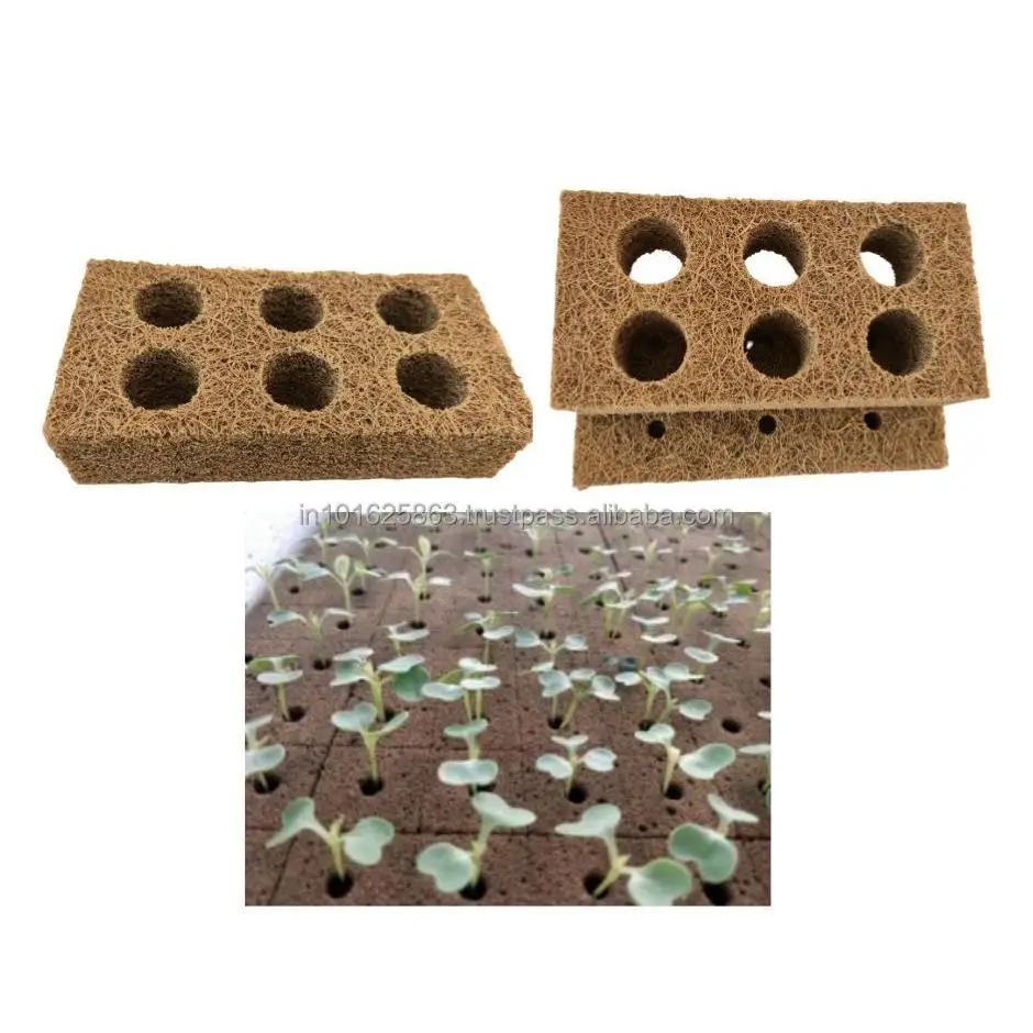 Coir Square Brick Microgreen Pads – Eco-Friendly Growing Medium for Hydroponic Cultivation