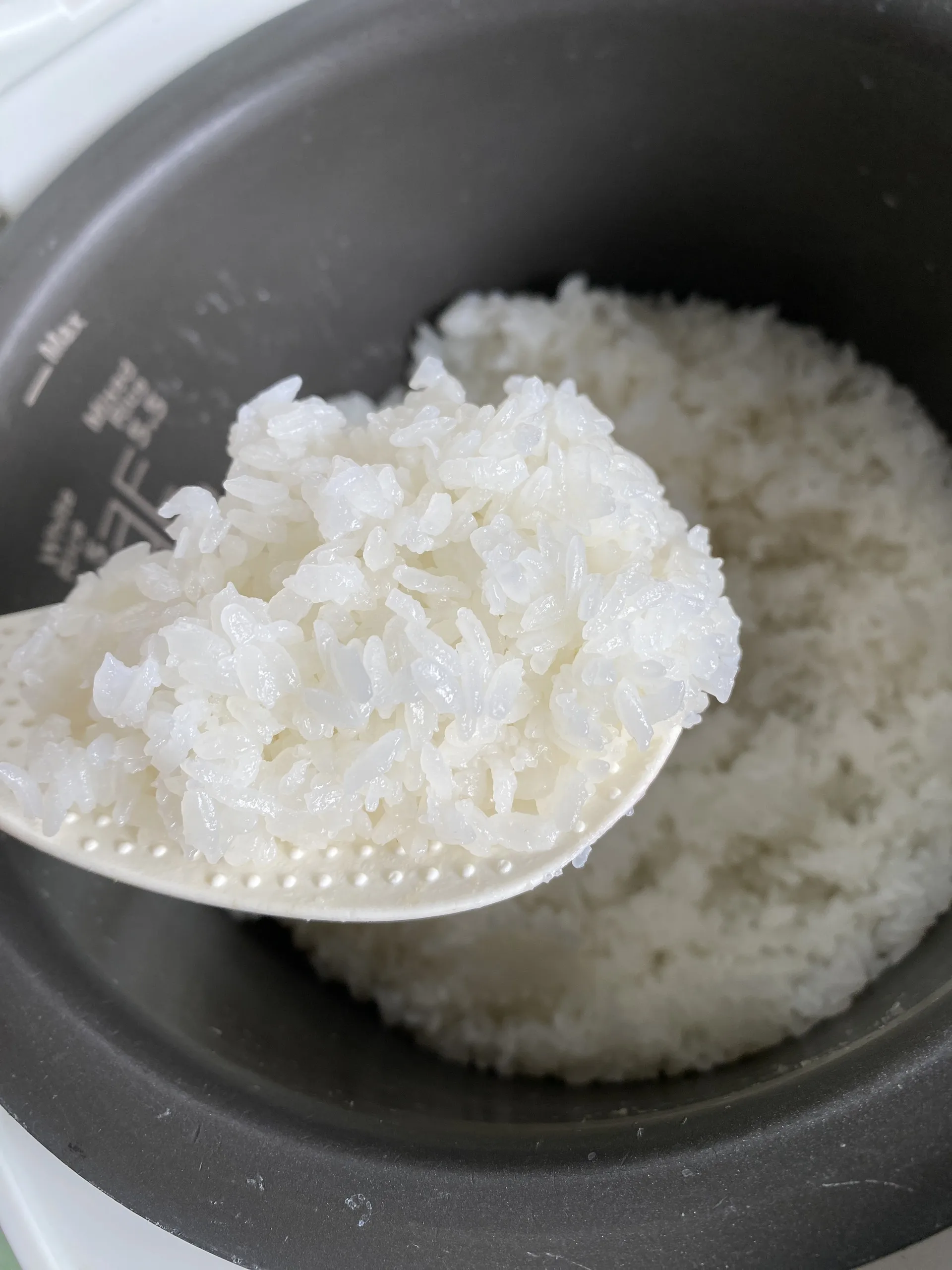 Vietnamese Rice High Quality Vietnam Sushi Rice White Rice Export From Vilaconic  WhatsApp: +84916062898 Lindsie