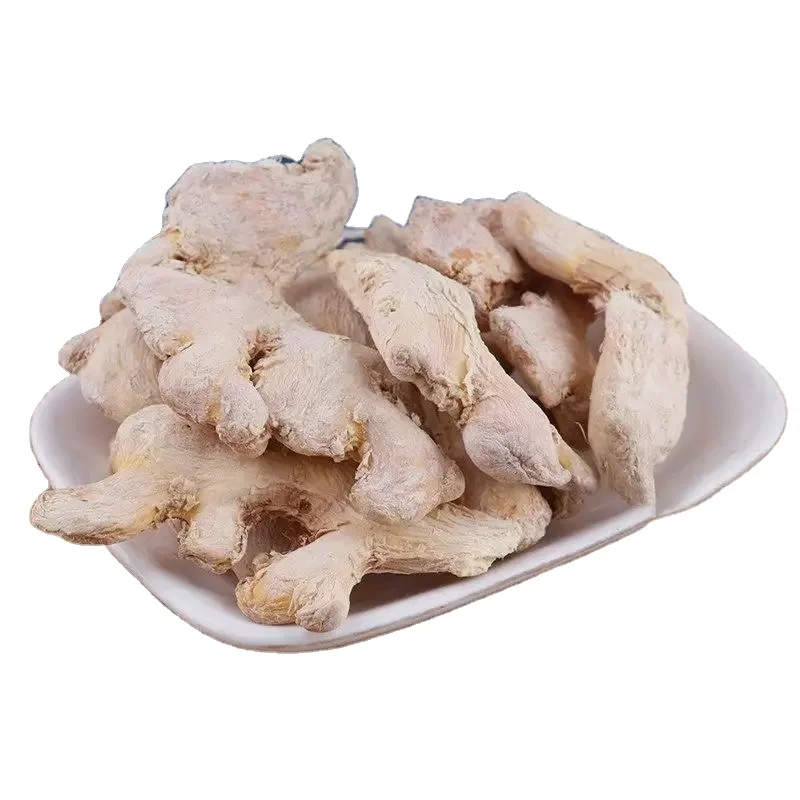 High Quality Organic Ginger Mature Dried Ginger New Crop Ginger at Best Price From India