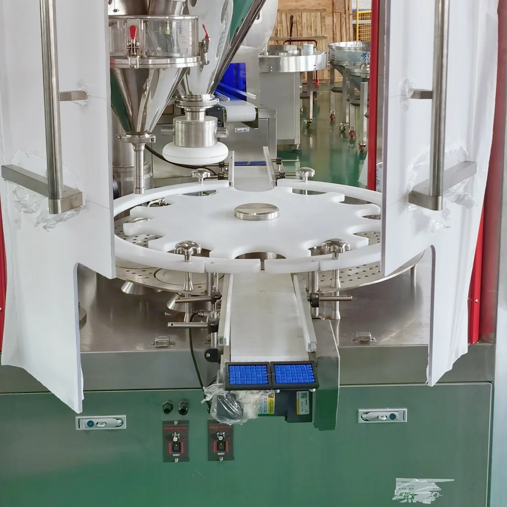Servo Motor Drive Vertical Pharmaceutical Rotary Powder Spice Bottle Filling Machine