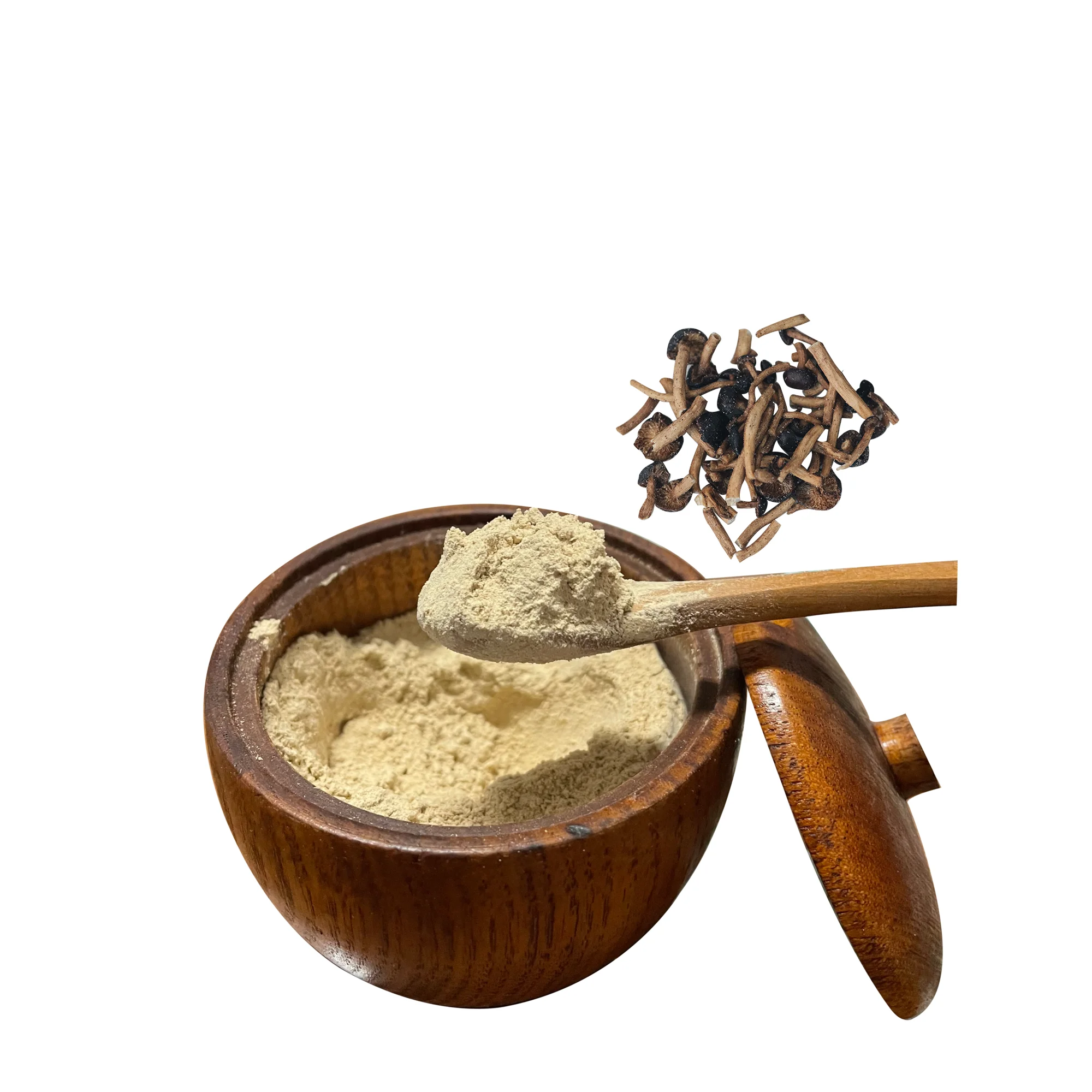 Tea mushroom extract best price shitake mushroom powder