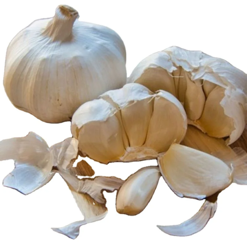 PRODUCRES OF INDIAN GARLIC FRUITS COMPANY