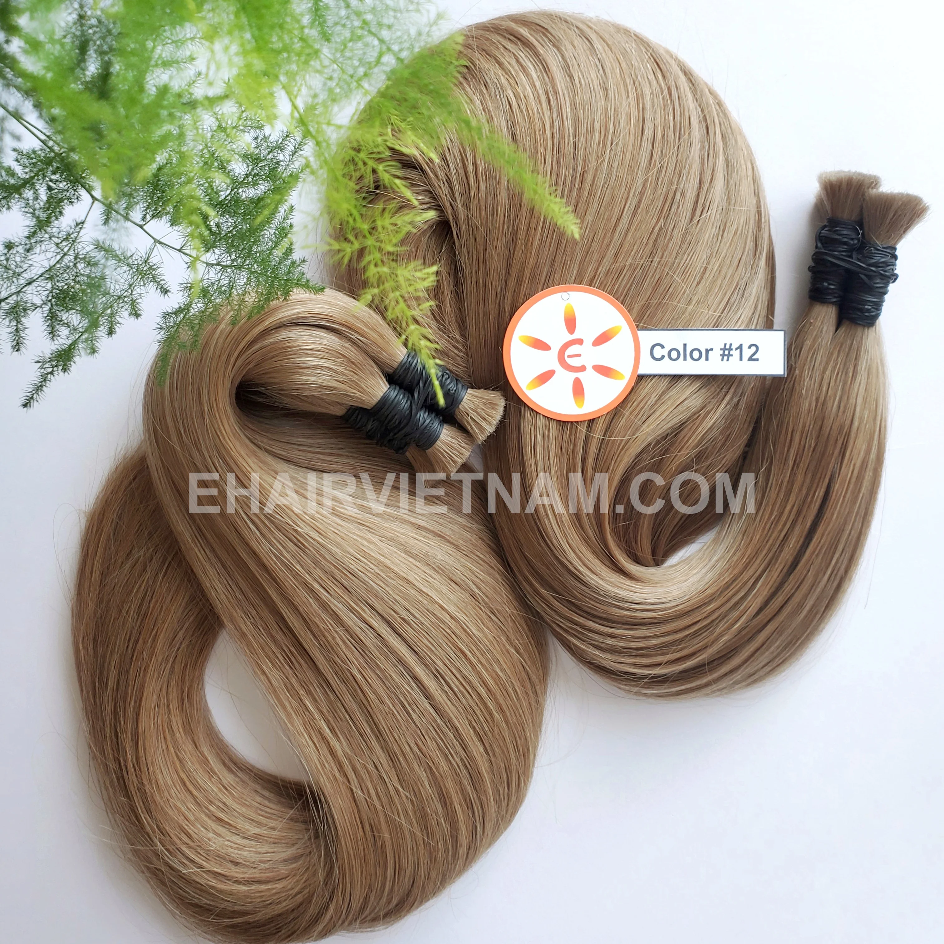 E-HAIR Вьетнам | Лидер продаж волосы для наращивания волос 100% человеческих и лучшее качество во Вьетнаме Оптовая Продажа Волос