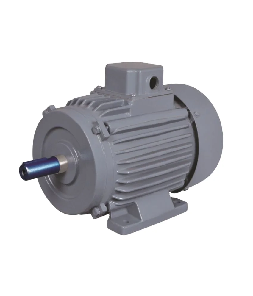 Customised Factory Made Wholesale High Quality Top performance 3 HP Three Phase Squirrel cage Induction Motor