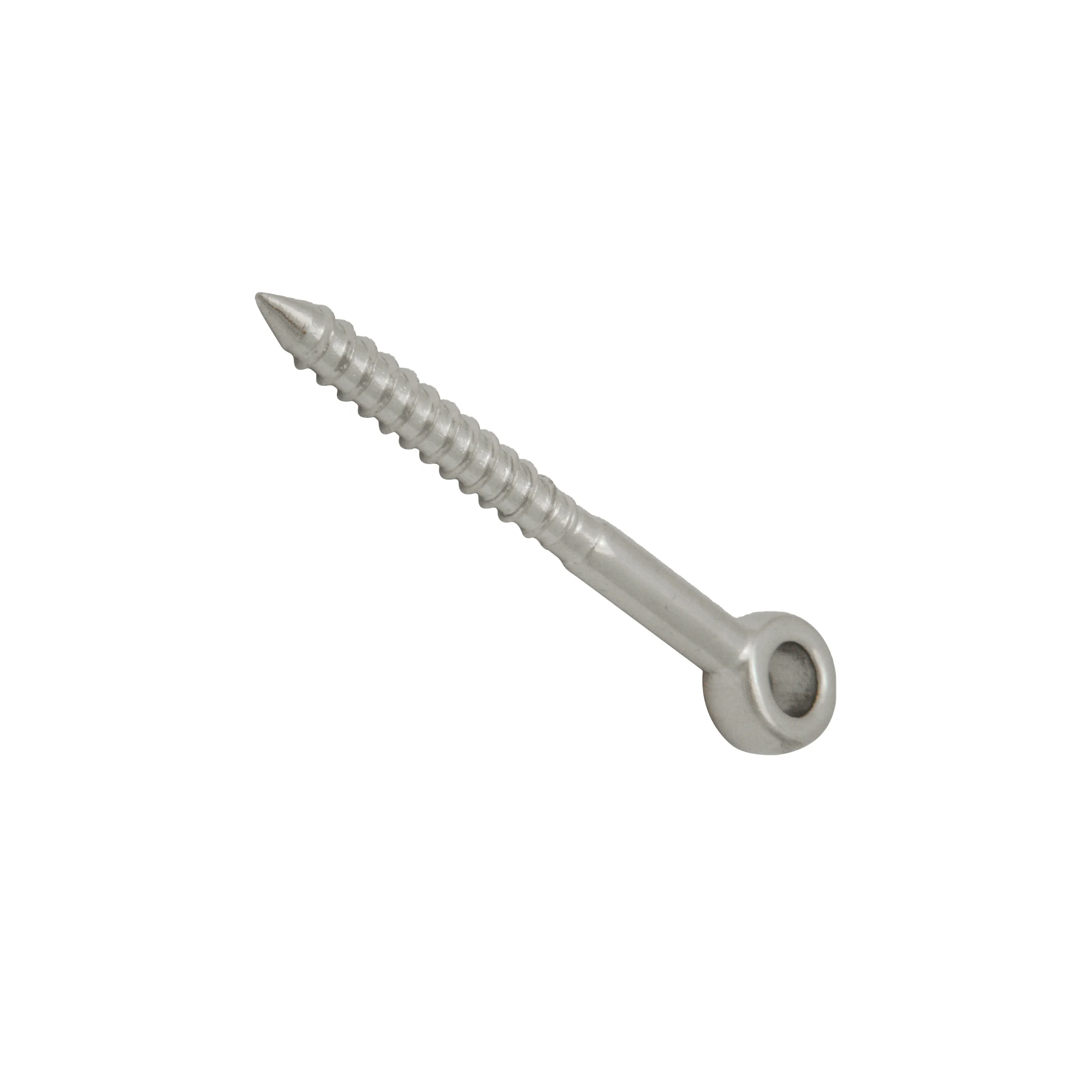 Stainless Steel Rigging Lag Eyes Screw Rigging Hardware for Timber Wooden