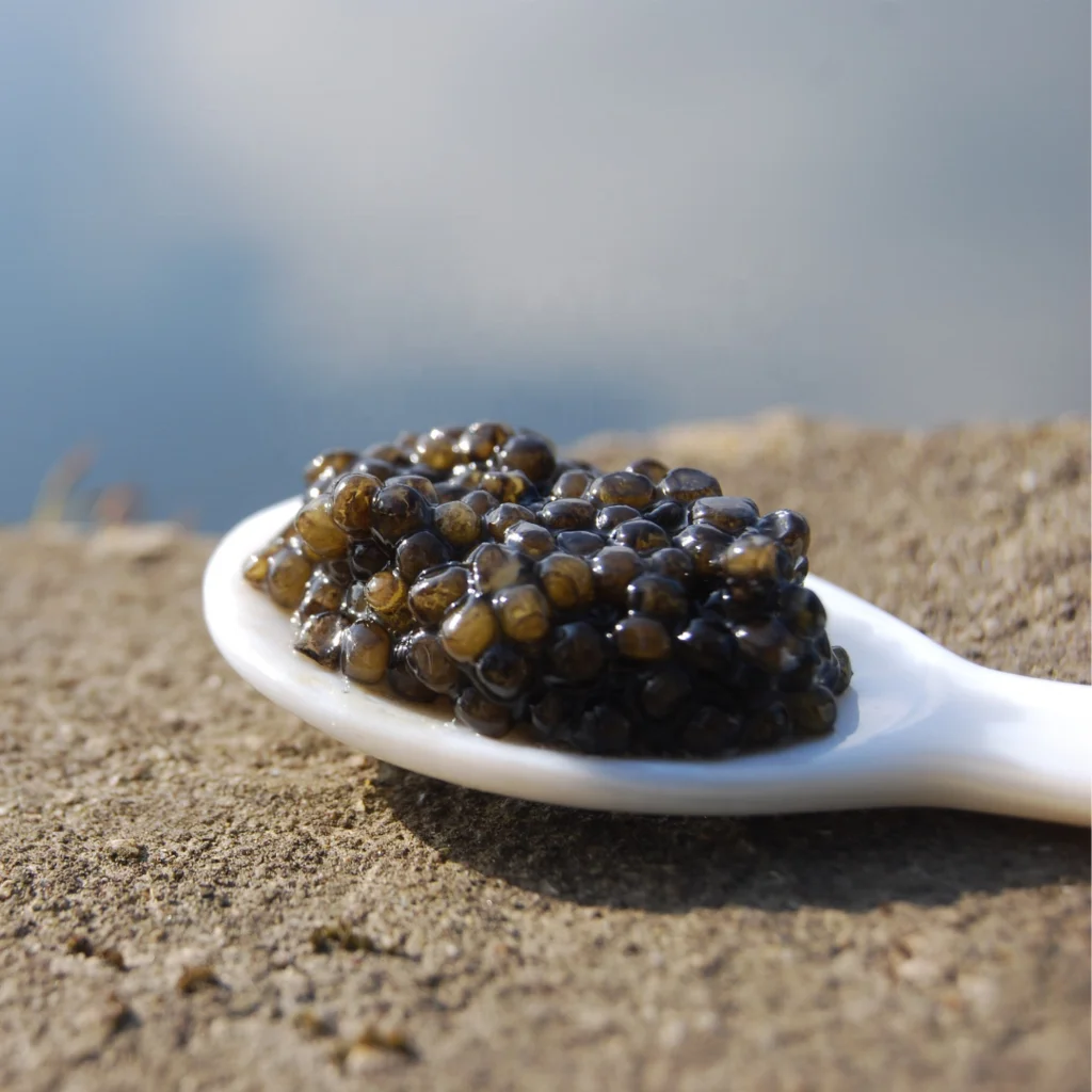 Wholesale Mother Pearl Caviar Spoon and Placemat Natural MOP Vietnam Shell Pink White Black Kitchen Usage