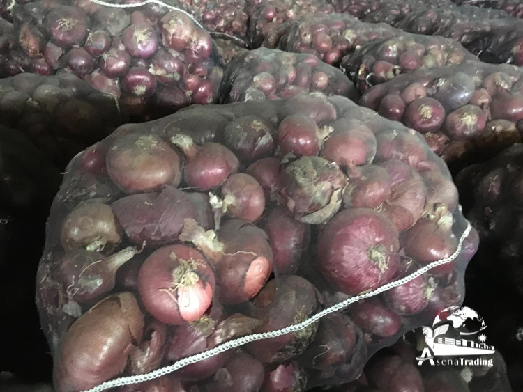 High quality The most popular wholesale Fresh oignons Shallot Peeled Onion Red Yellow White Organic Onion