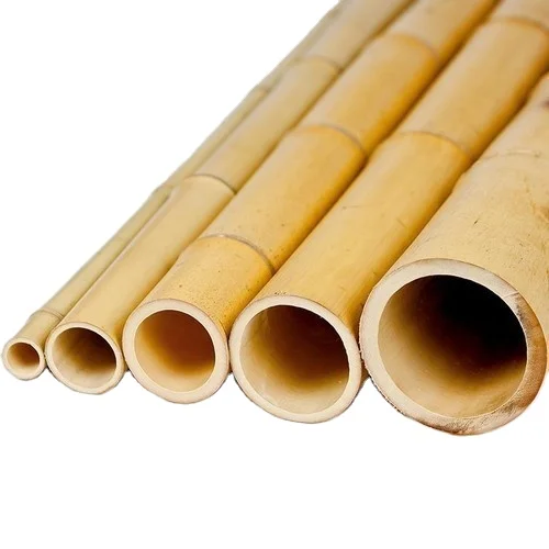 Натуральный Прочный бамбуковый шест высокого качества Moso бамбуковая стойка для строительства посадки садоводства низкая цена