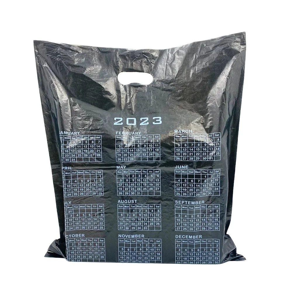 Ha Noi Plastic bags Customized Packing Biodegradable Shopping Bags LDPE Fold Over Die Cut Handle Custom Retail Merchandise