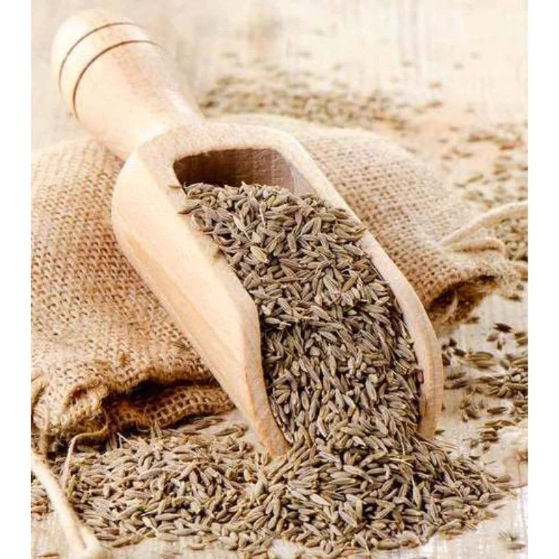 cumin best cumin buy price for cumin indian exporters