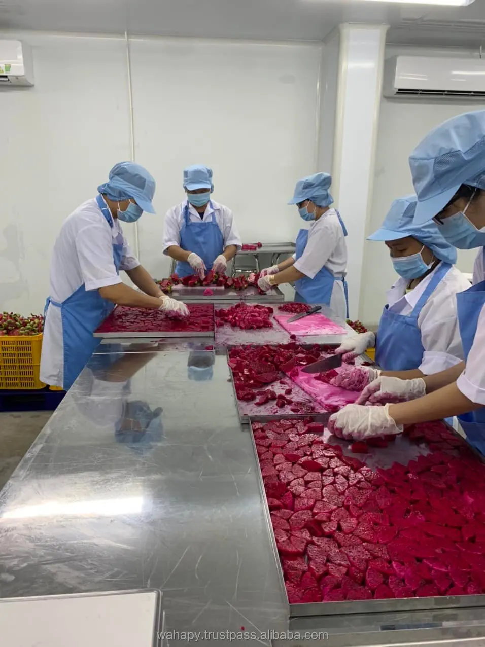 Organic Dried Fruit	Free Sample	Dragon Fruit Freeze Dried Powder	from FRUITBUYS VIETNAM