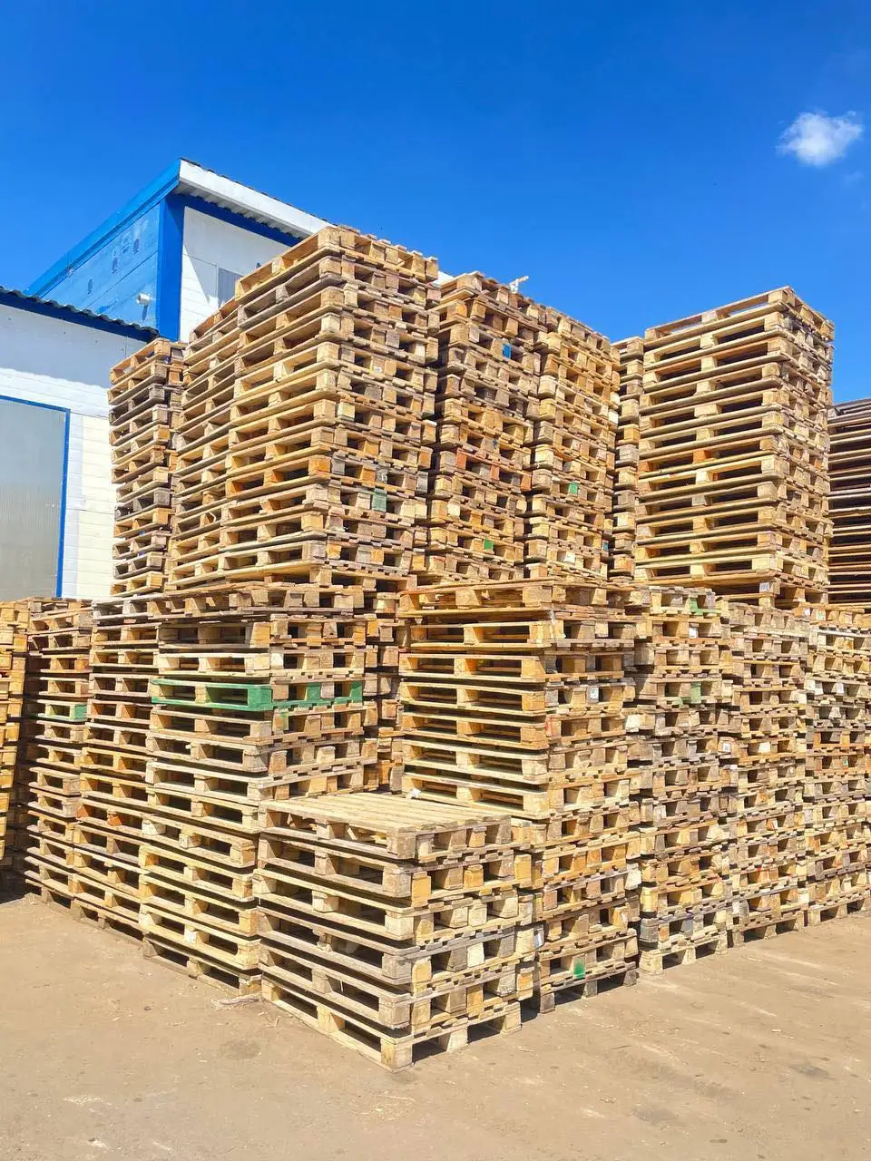 best quality Grade Euro wooden pallets all sizes available / 1200x1000 euro pallet Wholesale Plywood 48 X 40 Wooden Pallet Price