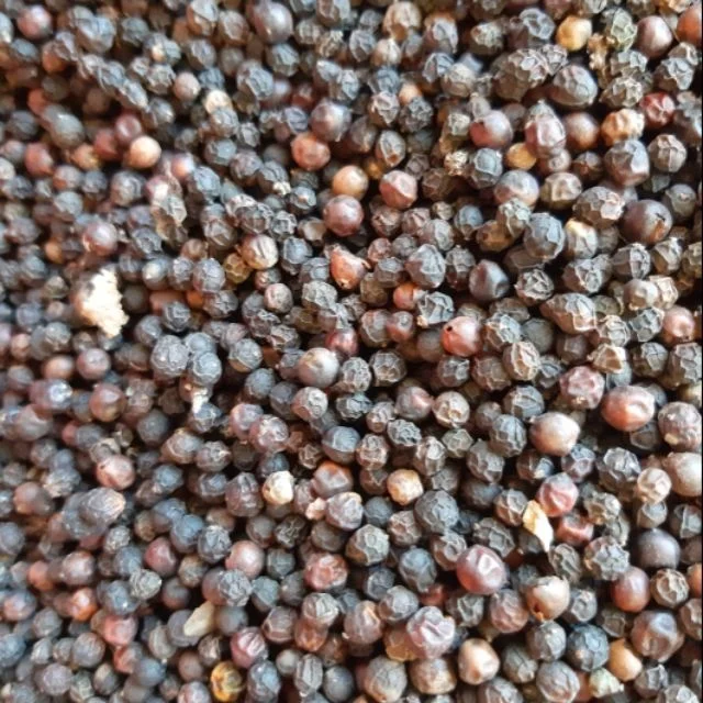 High Quality Black Pepper best price in vietnam 1 buyer
