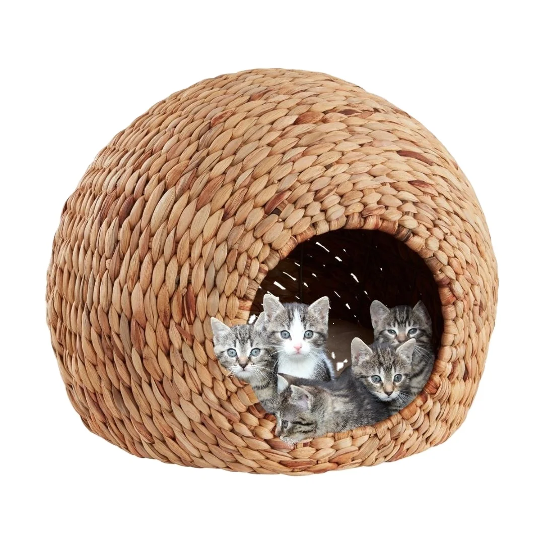 Cat and small dog house with cushion natural and handwoven strong durable and decorative for pet supplies