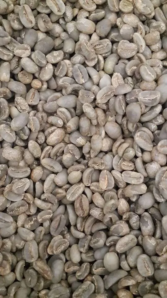 Premium Wild Civet Coffee Unparalleled Flavor Arabica Coffee Beans Kopi Luwak From Indonesian Expertly Roasted Coffee Beans