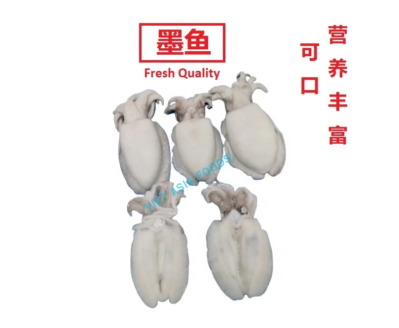 (NEW PRODUCT) Cuttlefish/Frozen Whole Cleaned Cuttlefish For Sale in VietNam