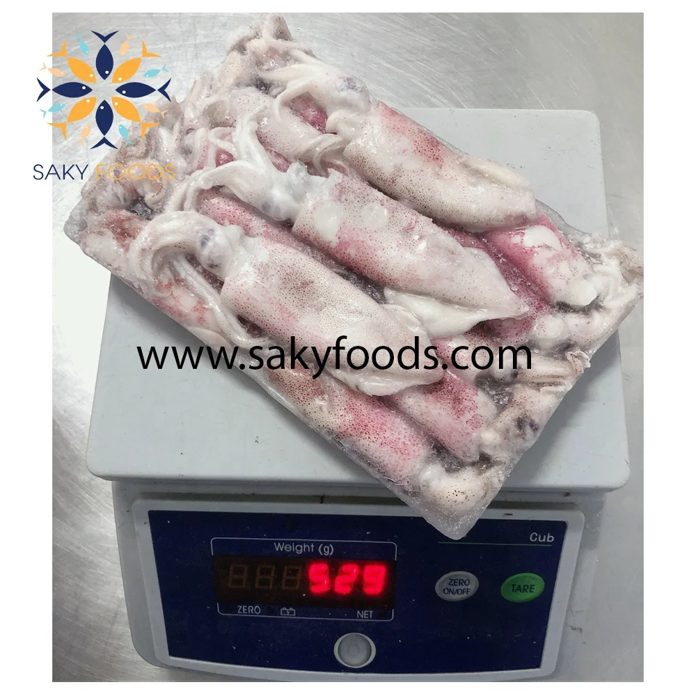 HIGH QUALITY GOOD PRICE FROZEN LOLIGO SQUID FOR  EXPORTED QUALITY