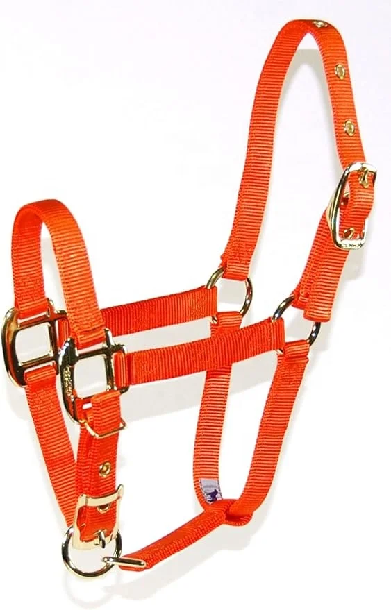 8D SMNV 3/4-Inch Nylon Arabian Horse Halter for 500 to 800-Pound Horse  English Saddle Halters From India