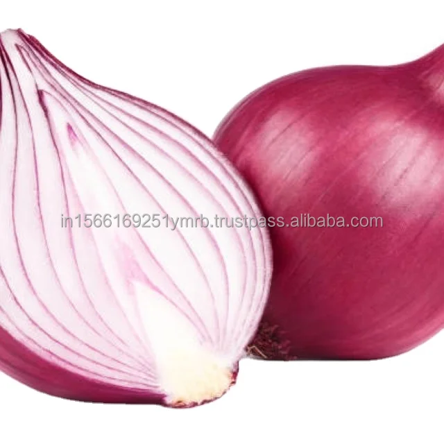 Wholesale fresh red onion natural Indonesia products ready for export best quality red onions