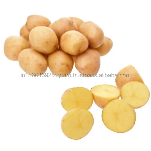 Fresh potato price per ton For Wholesale Buy High quality 100% Organic fresh Potatoes at cheap price