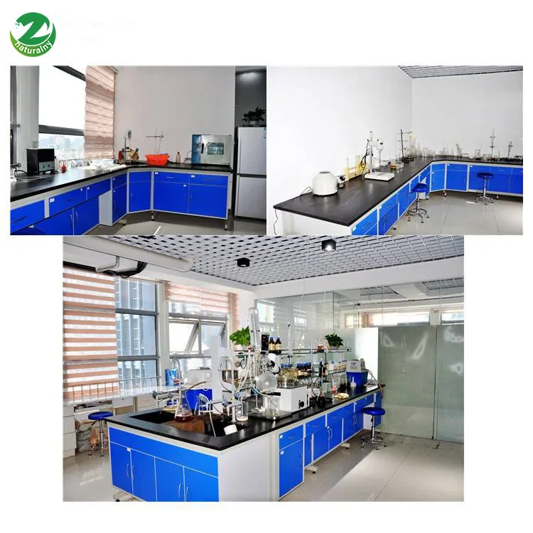 Natural Organic Lingzhi Ganoderma Lucidum Extract Powder 40% Polysaccharides, Reishi Mushroom Extract