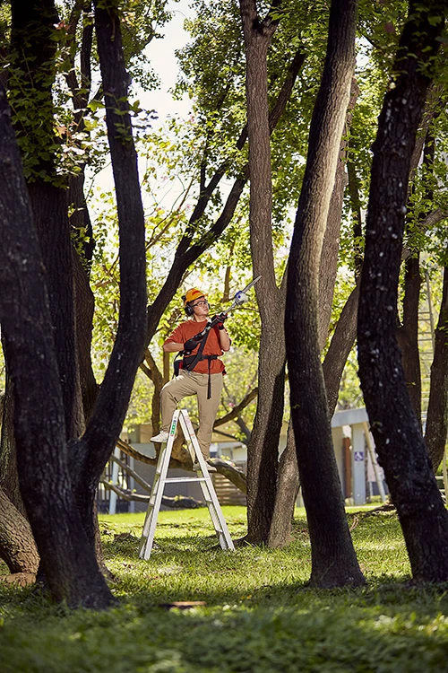 4.2 meter tree limbs tractor mounted long reach pole electric telescopic outdoor electric pole chain saw