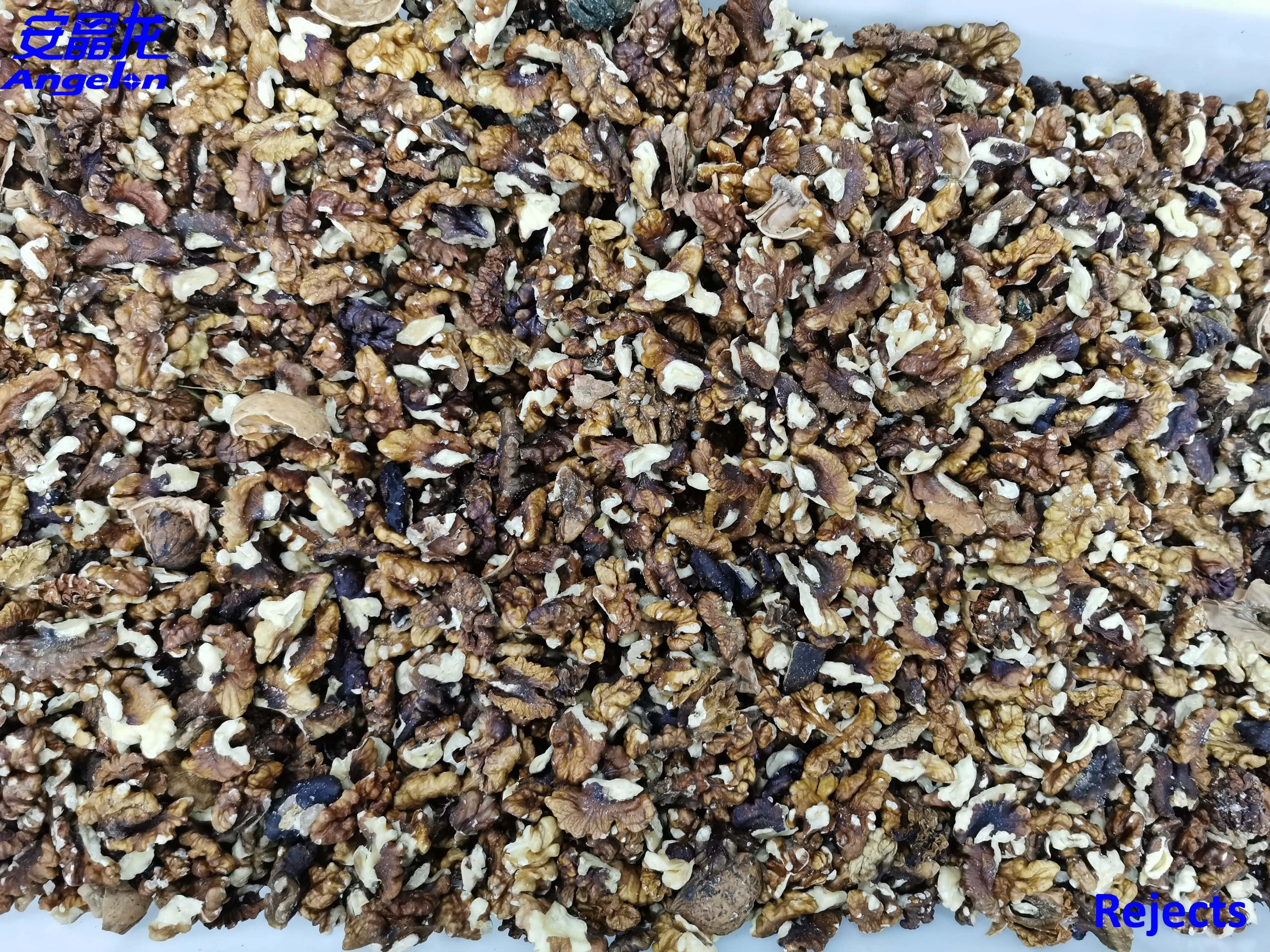 Peanuts Walnut Color sorter/sorting machine CCD camera intelligent Nuts processing machine