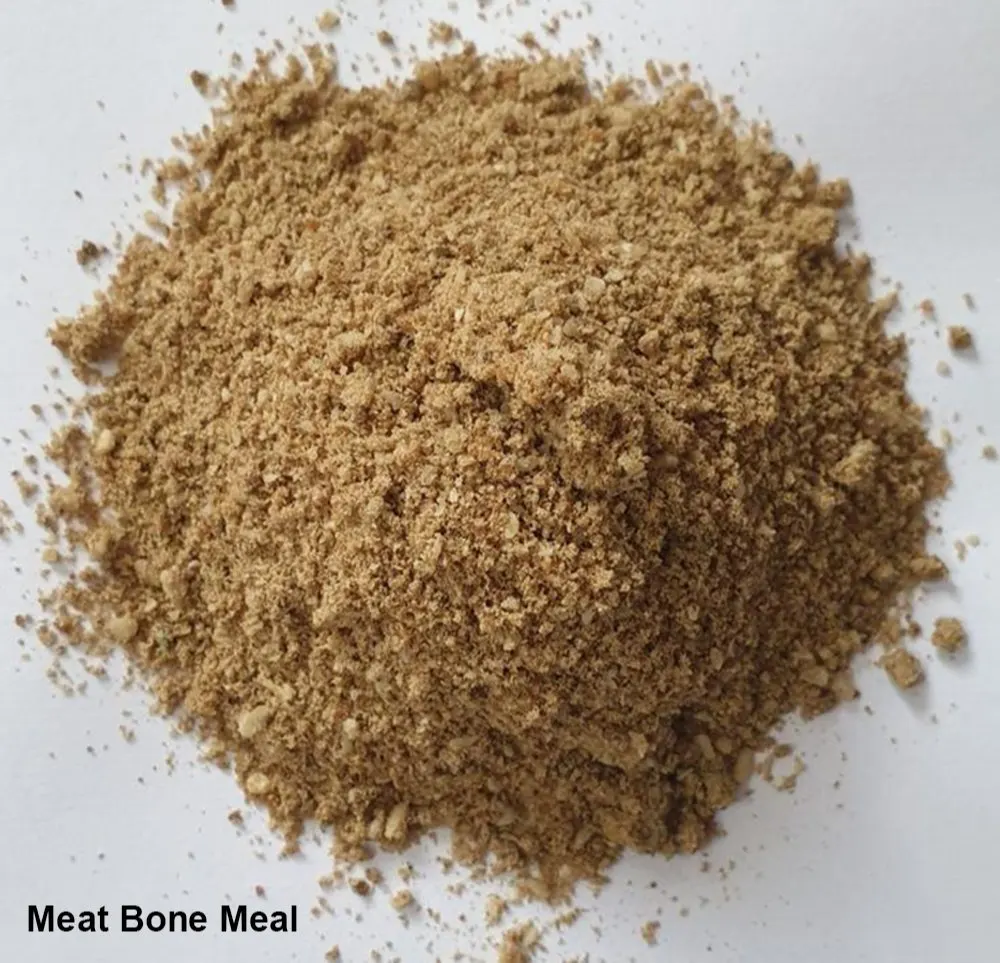 Cheap price Hot product High protein Full nutrition Meat Bone Meal