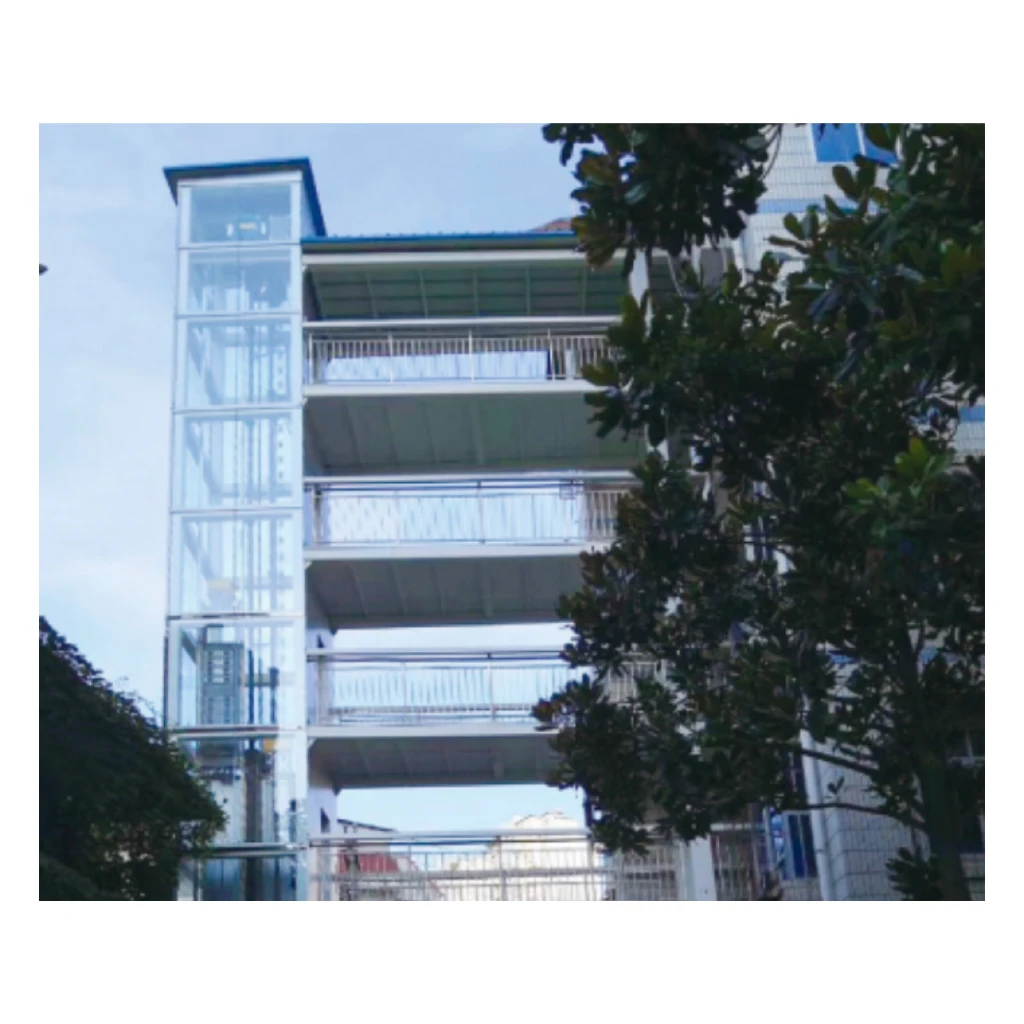 China Elevator Manufacturer Cheap Residential Outdoor Panoramic Passenger Elevator for Sale
