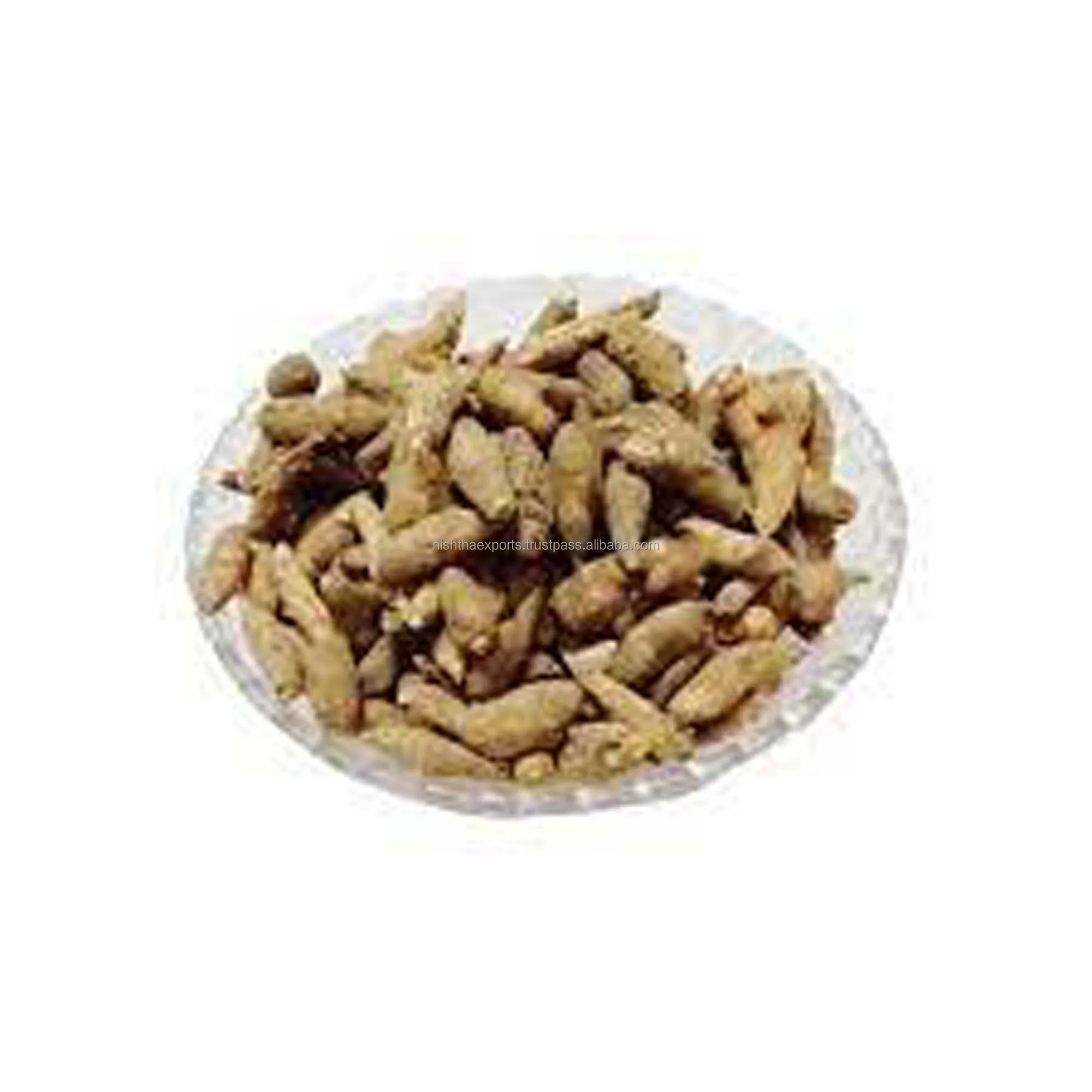 Aconitum Heterophopyllum Ativisha Bitter Atish Kadwi Atiwisha Ateesh Dried Raw Herb Wholesale Plant Extract Herbal Product