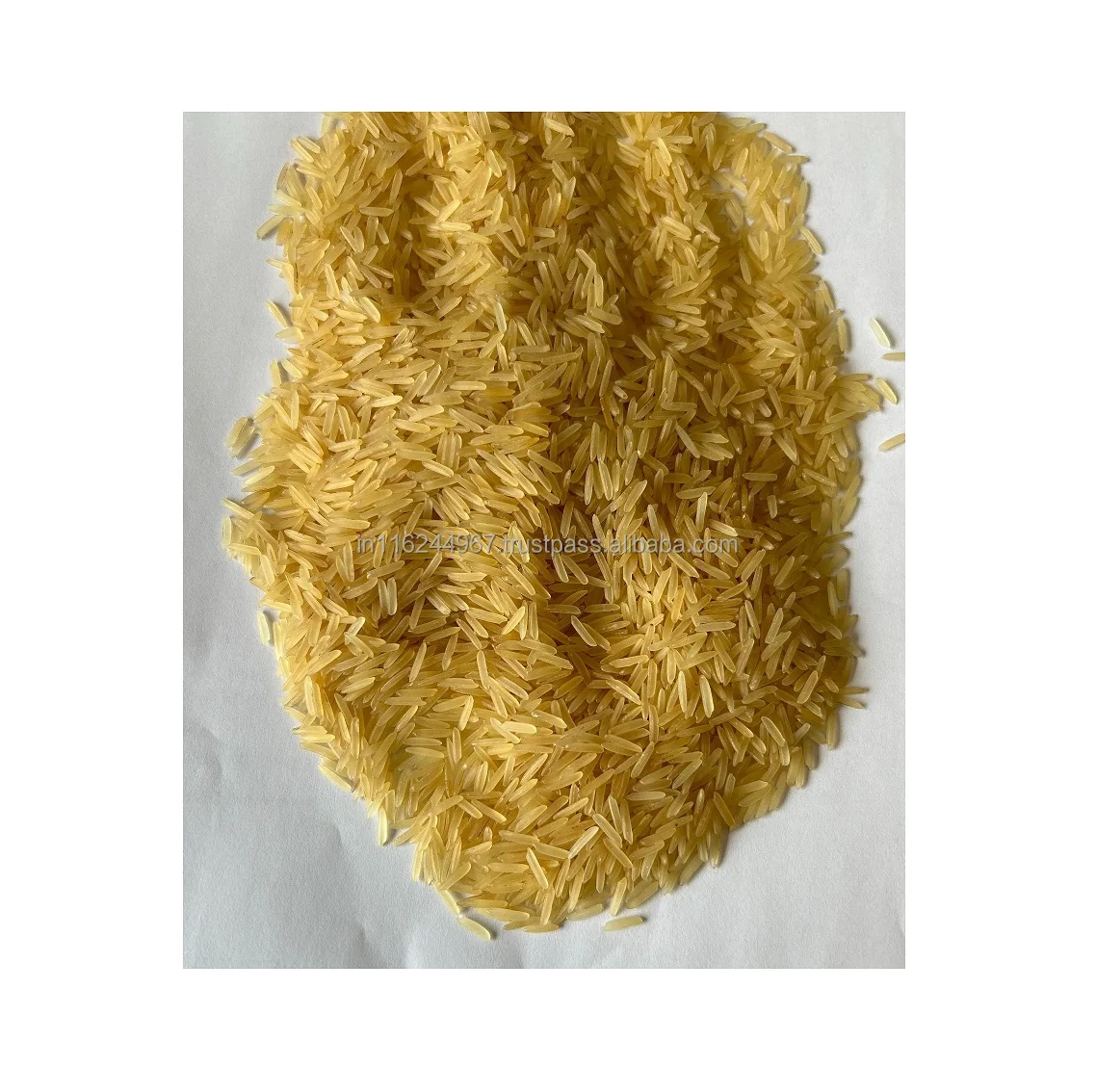 Medium Grain Indian Exporter Sharbati Golden Sella Rice 2023 for Cooking use Available at Best Price from India