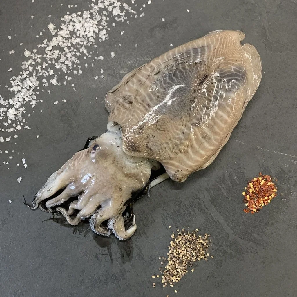 Высококачественная косточка Для сушеных морских Слепков