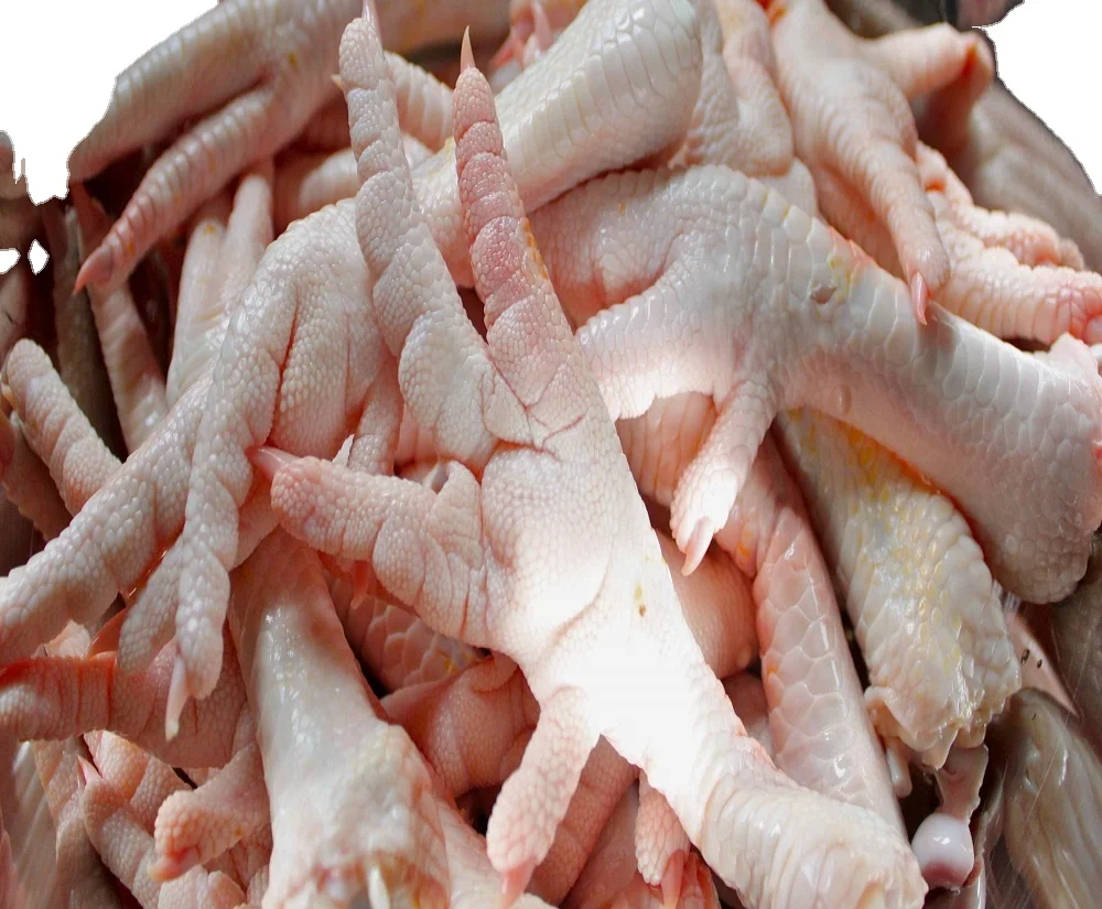 Hot sales - Frozen Chicken Gizzards , paws , breast and drum stick suppliers from EU
