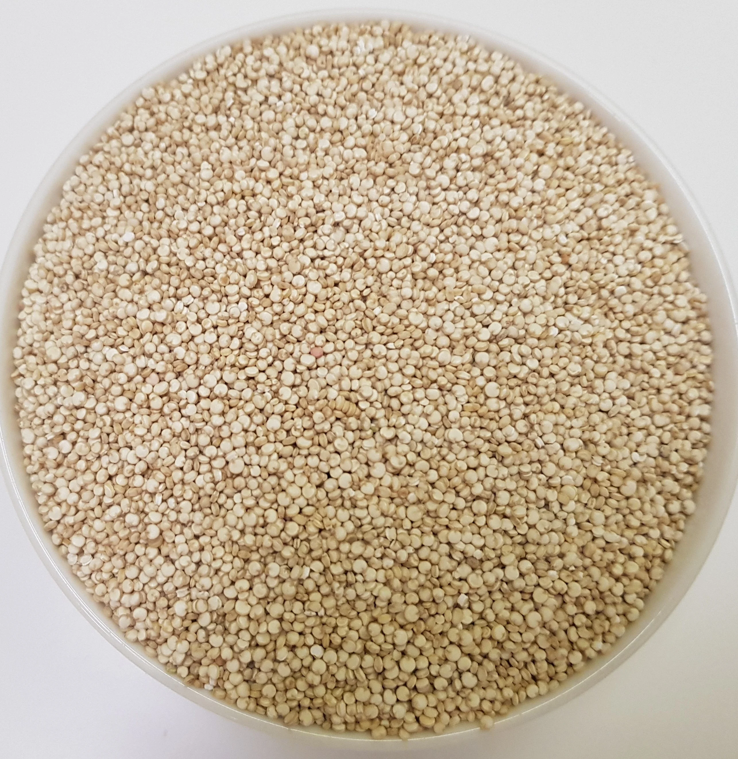 Wholesale Quinoa seed quinua manufacturers quinoa price quinoa