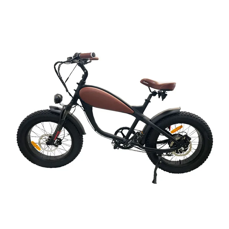Super 750W Powerful 20 Inch Fat Tire Snow /Beach Electric Bicycle Dual Disc Brake Fat Tire Electric Mountain Bike